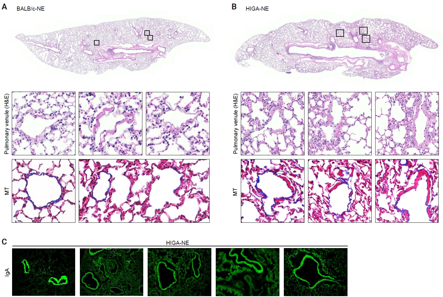 jptm-2026-06-01f2.jpg