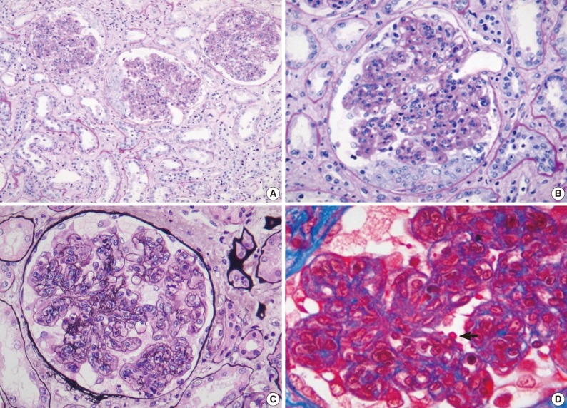 kjpathol-46-105-g001.jpg