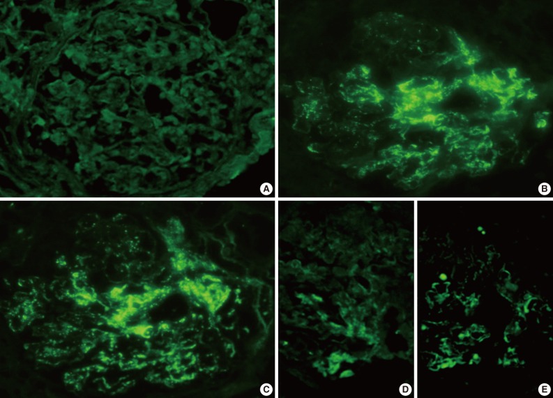 kjpathol-46-105-g002.jpg