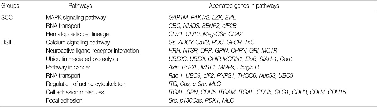 kjpathol-46-123-i003.jpg