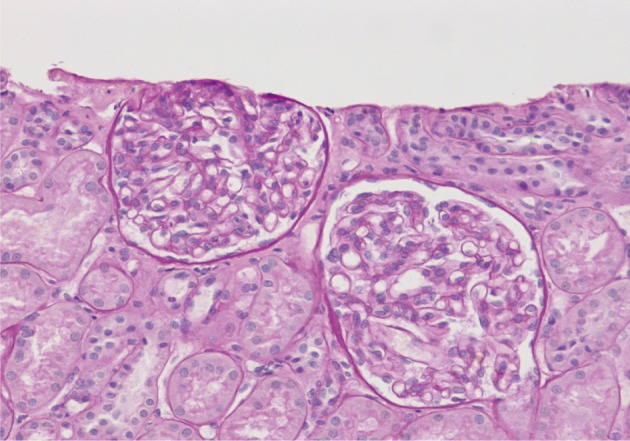 kjpathol-46-137-g001.jpg