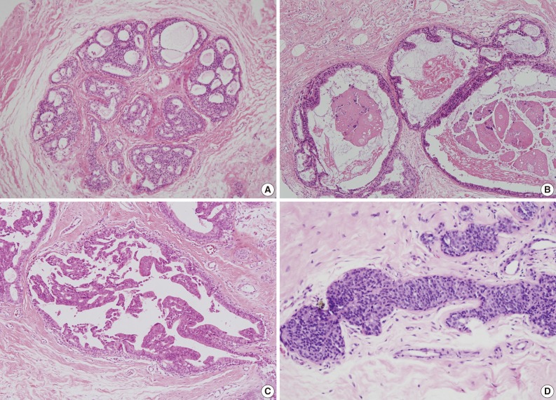 kjpathol-46-15-g001.jpg