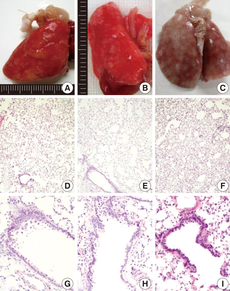 kjpathol-46-151-g002.jpg