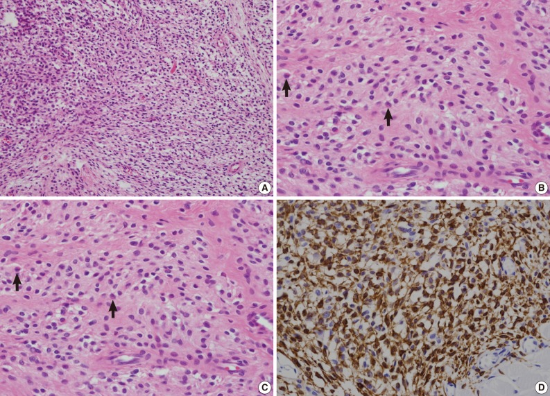 kjpathol-46-192-g002.jpg