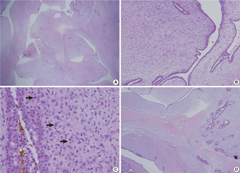 kjpathol-46-205-g002.jpg