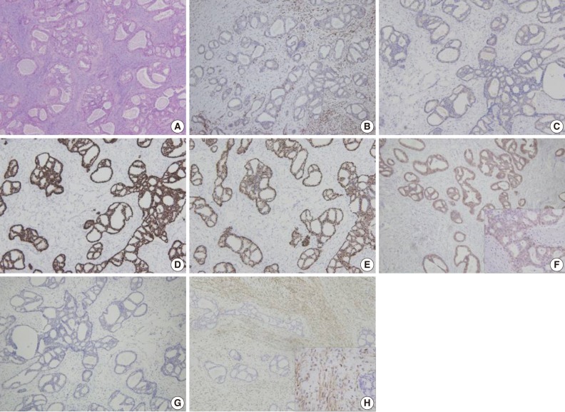 kjpathol-46-205-g003.jpg