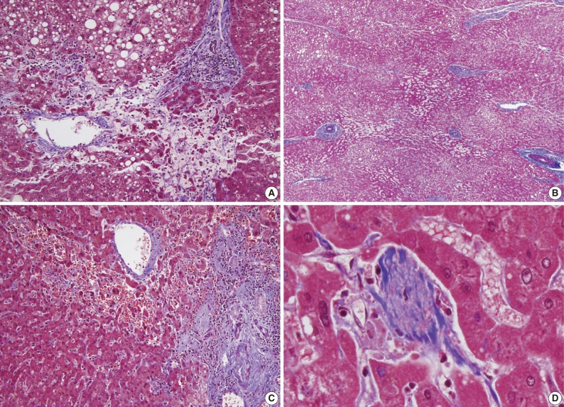 kjpathol-46-22-g002.jpg