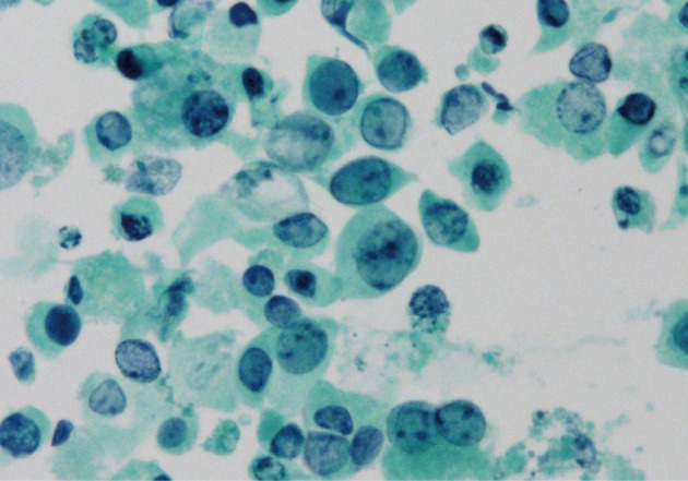 kjpathol-46-233-g001.jpg