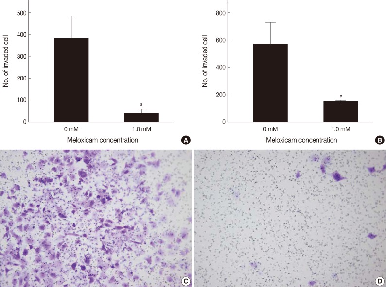 kjpathol-46-237-g005.jpg