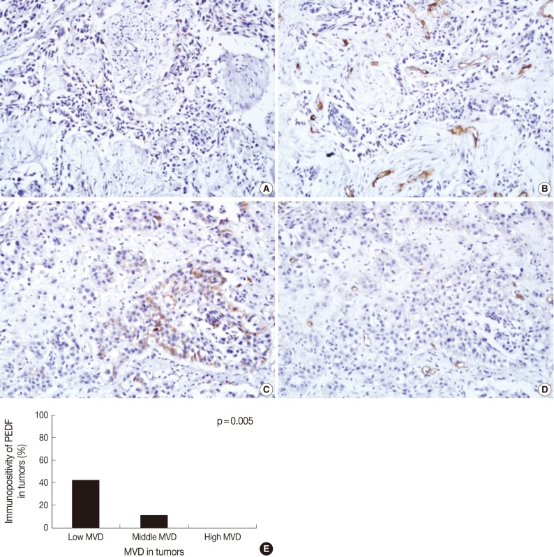 kjpathol-46-261-g002.jpg