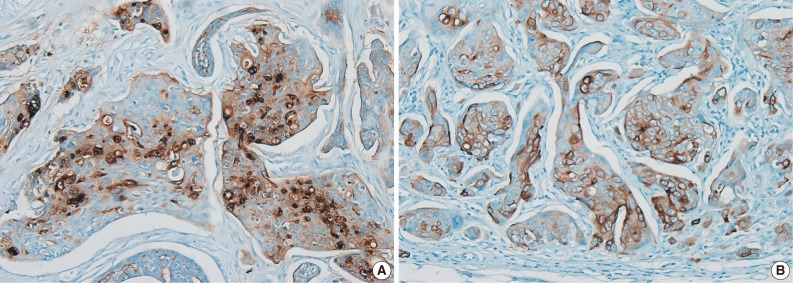 kjpathol-46-278-g002.jpg