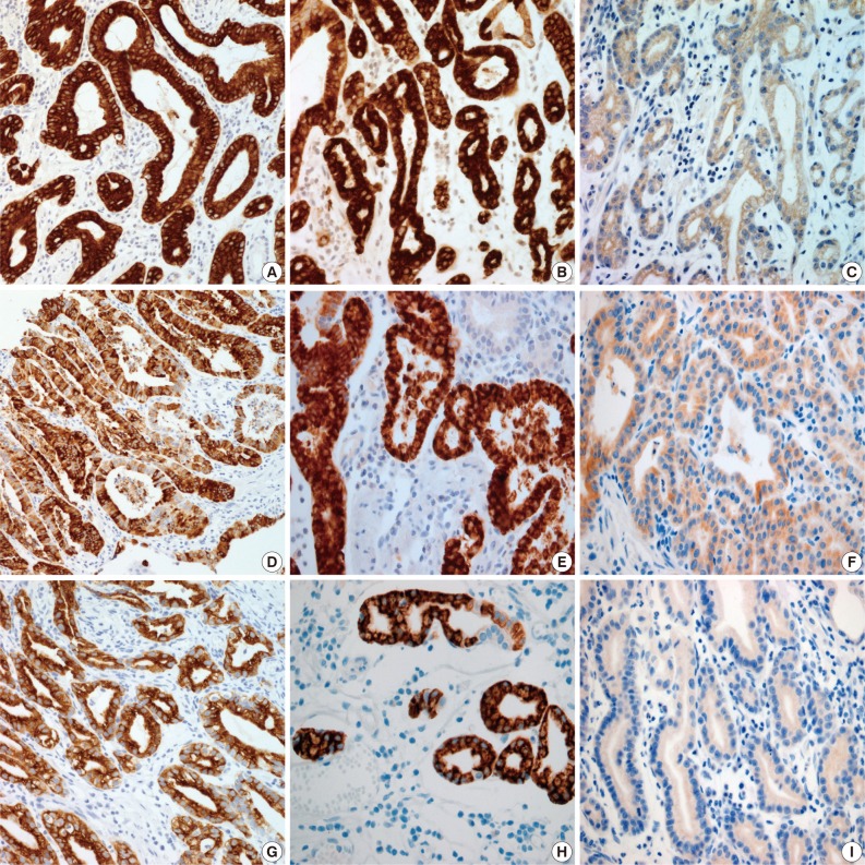 kjpathol-46-287-g002.jpg