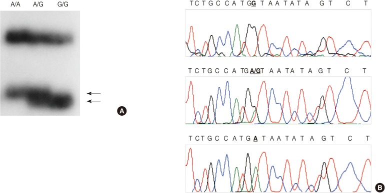 kjpathol-46-30-g002.jpg