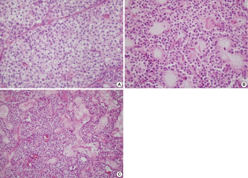 kjpathol-46-399-g003.jpg