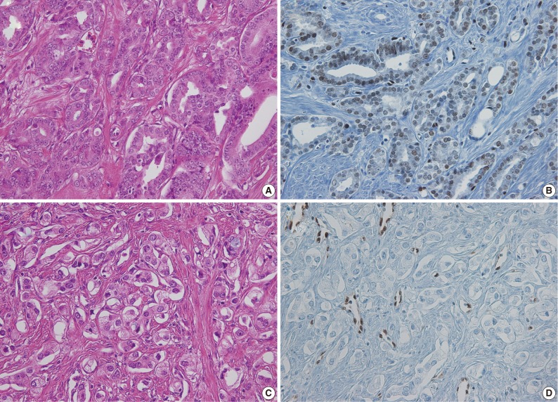 kjpathol-46-423-g002.jpg