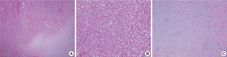 kjpathol-46-483-g008.jpg