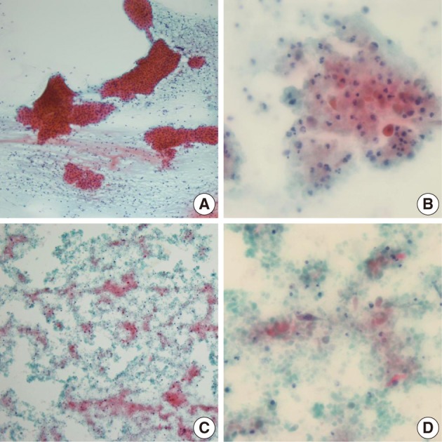 kjpathol-46-569-g003.jpg