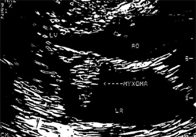 kjpathol-46-595-g002.jpg