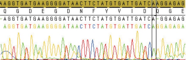 kjpathol-46-595-g005.jpg