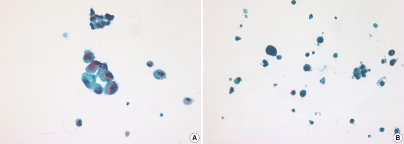 kjpathol-46-68-g003.jpg