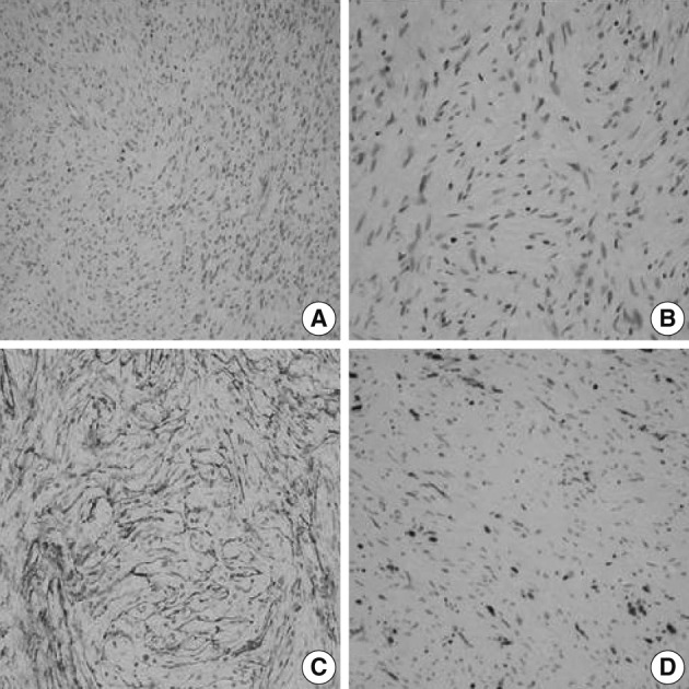 kjpathol-46-75-g001.jpg