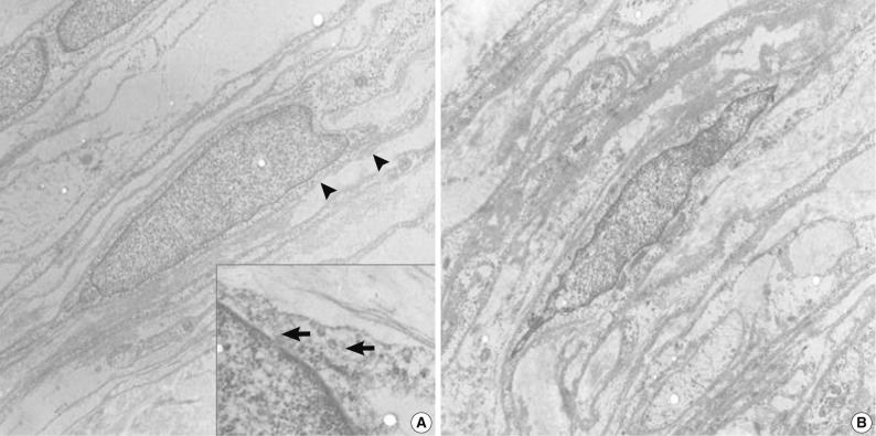 kjpathol-46-75-g003.jpg