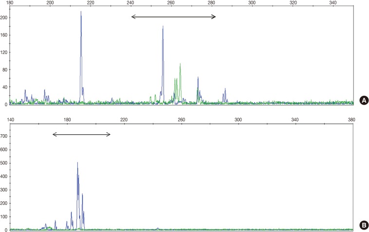 kjpathol-47-137-g001.jpg