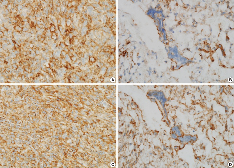 kjpathol-47-158-g003.jpg