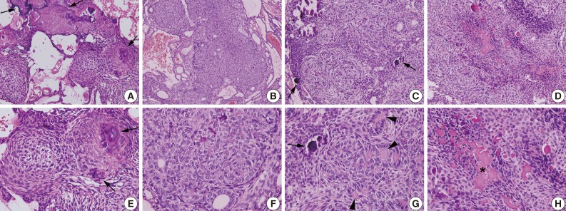 kjpathol-47-191-g003.jpg