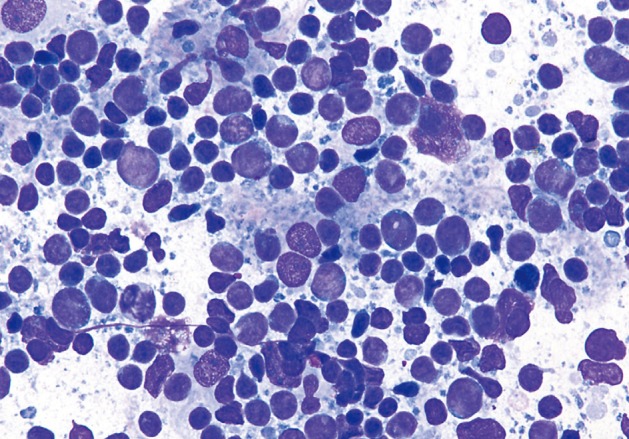 kjpathol-47-258-g007.jpg