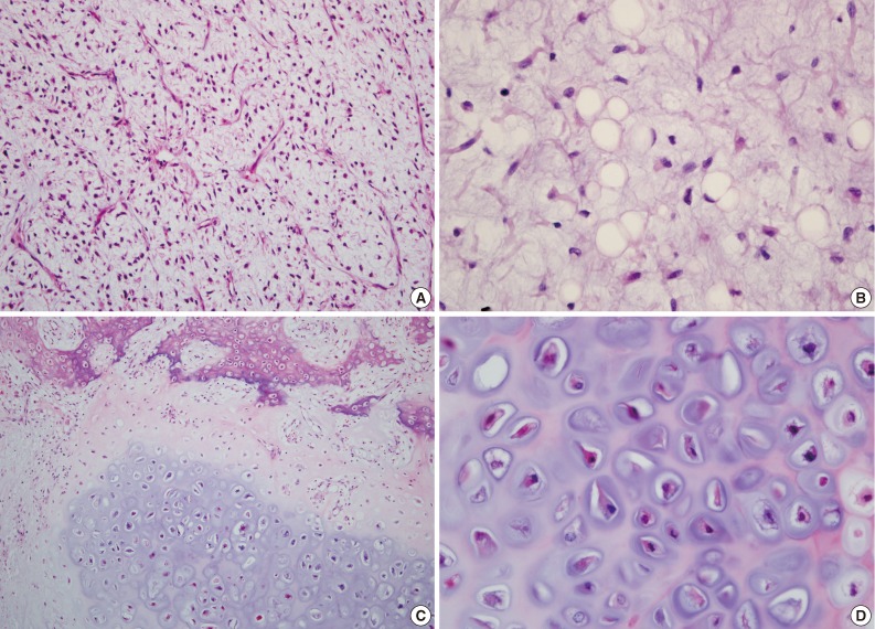 kjpathol-47-284-g003.jpg