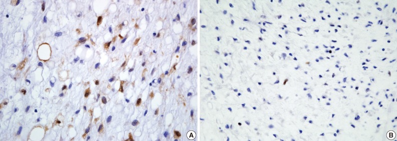 kjpathol-47-284-g004.jpg