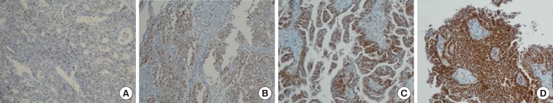 kjpathol-47-418-g001.jpg