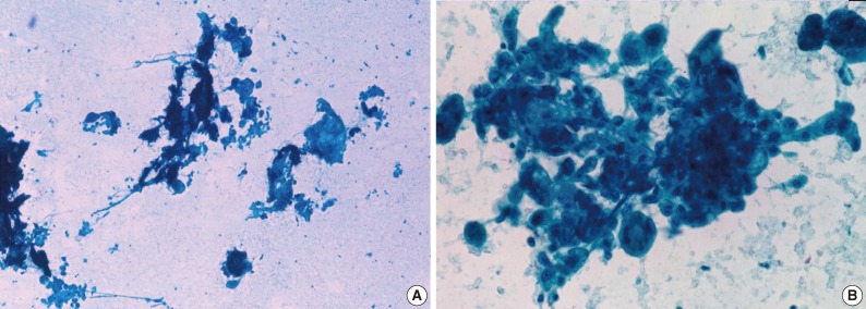 kjpathol-47-499-g001.jpg