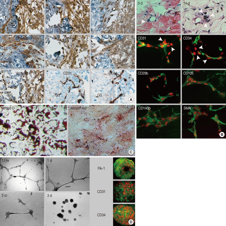 kjpathol-47-507-g002.jpg