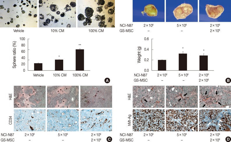 kjpathol-47-507-g004.jpg