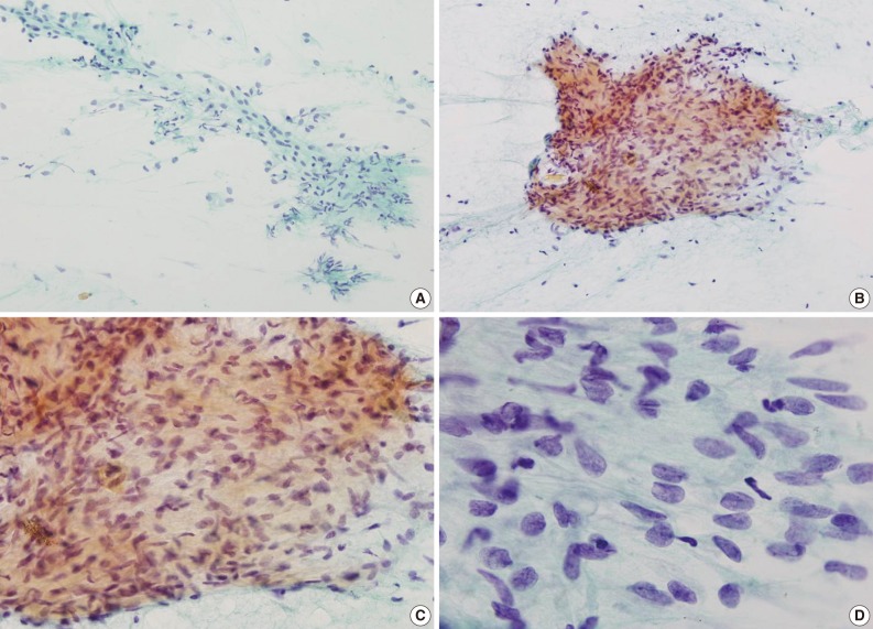 kjpathol-47-89-g001.jpg