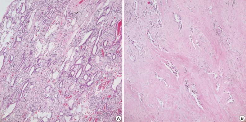 kjpathol-48-100-g003.jpg