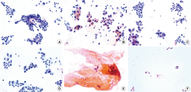 kjpathol-48-170-g002.jpg