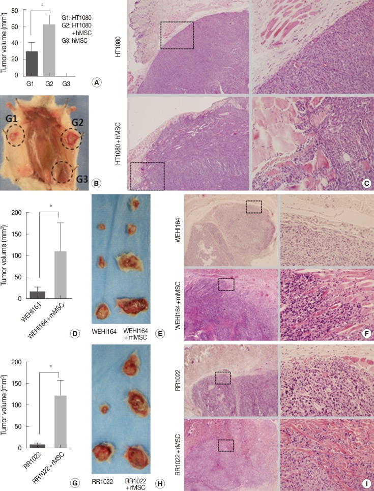 kjpathol-48-217-g002.jpg