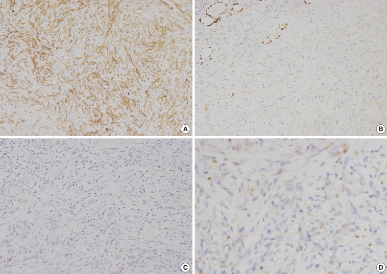 kjpathol-48-319-g003.jpg