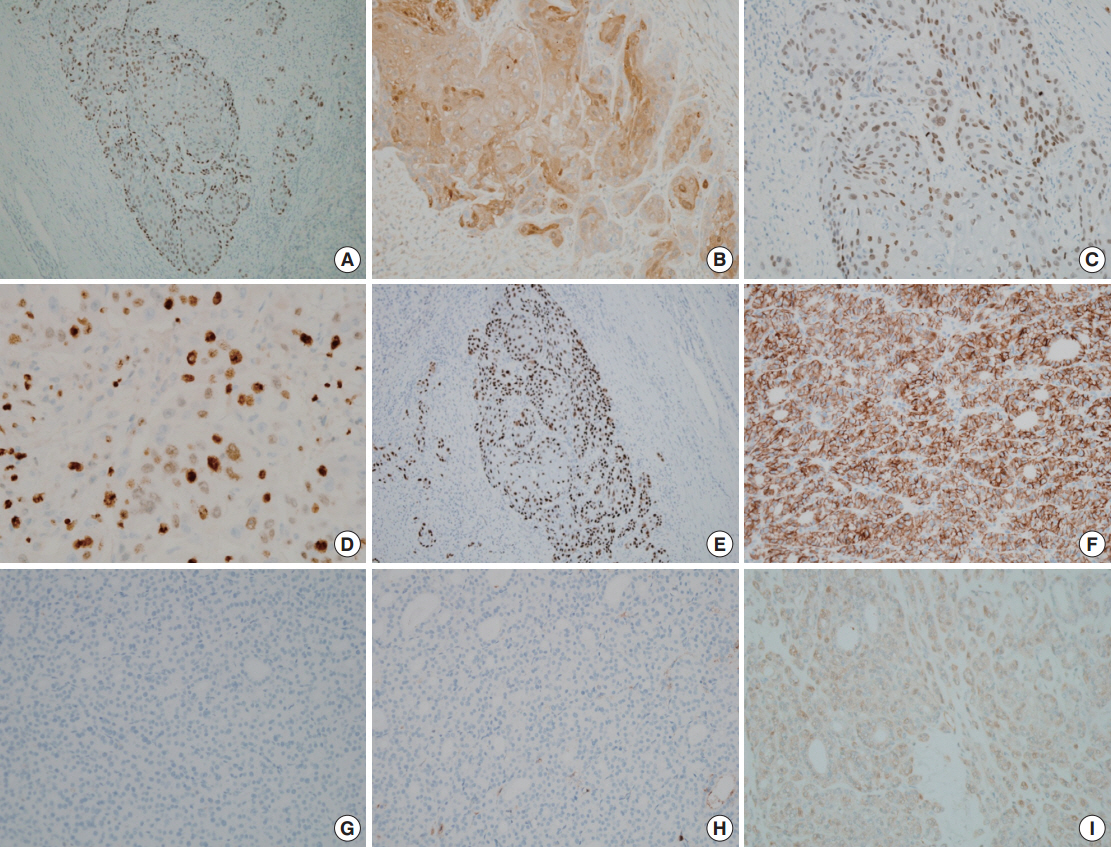 kjpathol-48-6-418f3.jpg