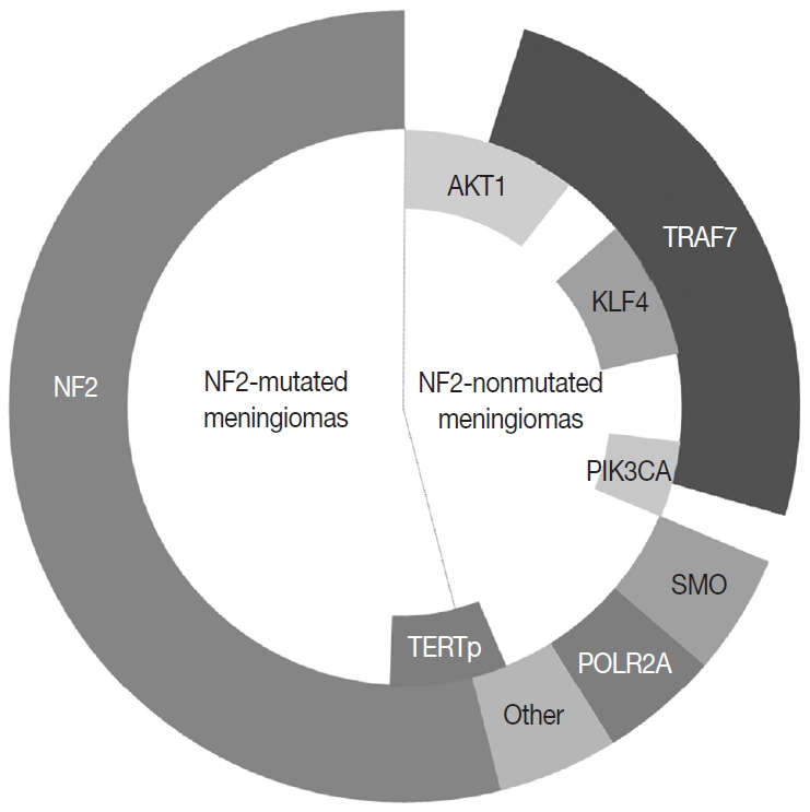 Ultra-Rare Syndromes: The Example of Rubinstein-Taybi Syndrome. - Abstract  - Europe PMC